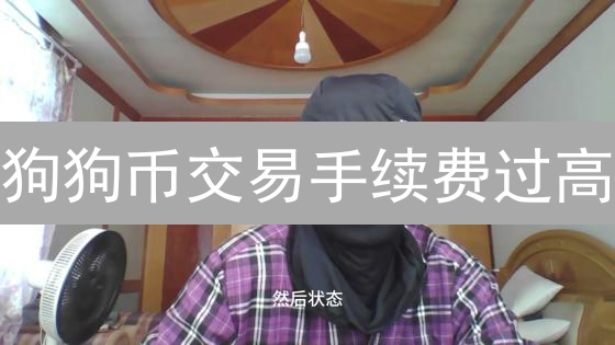 狗狗币交易手续费过高？降低成本的终极指南！