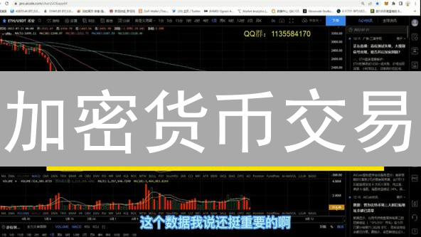 加密货币交易：掌握链上数据分析，掘金财富新机遇！