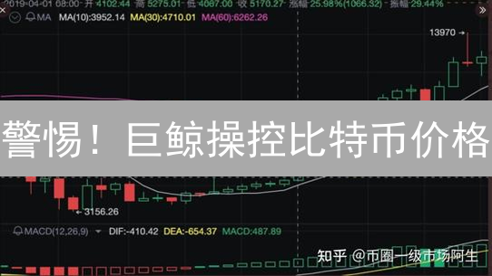 警惕！巨鲸操控比特币价格？揭秘暴涨暴跌背后的真相！