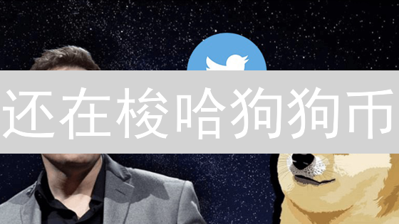 还在梭哈狗狗币？避坑指南：99%的人都不知道的真相！