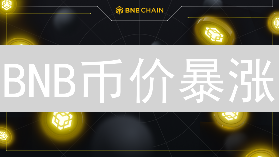 BNB币价暴涨？2024年最全价格查询攻略，教你抓住投资机会！