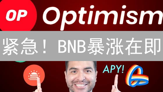 紧急！BNB暴涨在即？揭秘DeFi中的无限潜力！