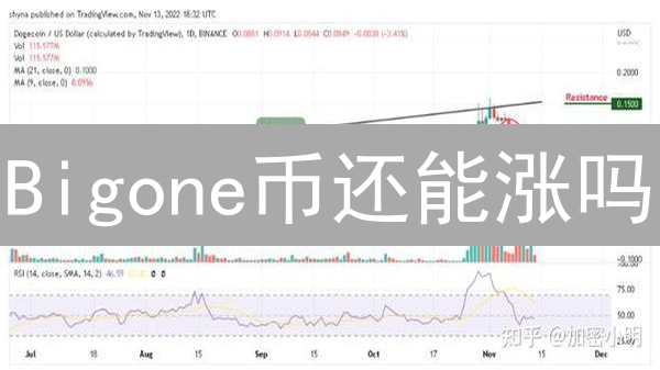 Bigone币还能涨吗？深度数据分析揭秘未来趋势！