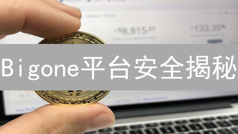 Bigone平台安全揭秘：多重防护能否守护您的数字资产？