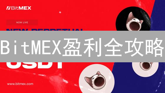 BitMEX盈利全攻略：解锁你的交易秘籍，告别亏损！