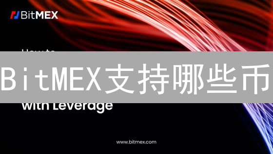 BitMEX支持哪些币？最新存取款指南与未来趋势分析！