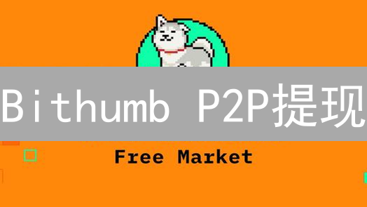 Bithumb P2P提现：快速到账？避坑指南！