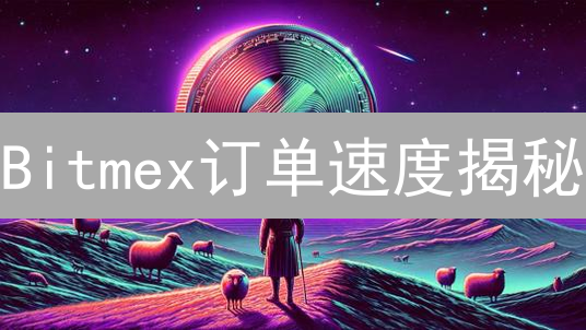 Bitmex订单速度揭秘：速度慢半拍，盈利少一半？