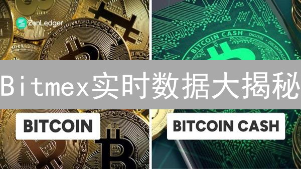 Bitmex实时数据大揭秘：交易胜算的秘密武器！