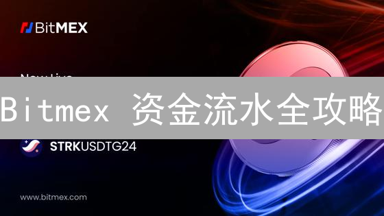 Bitmex 资金流水全攻略：一文搞懂，告别糊涂账！