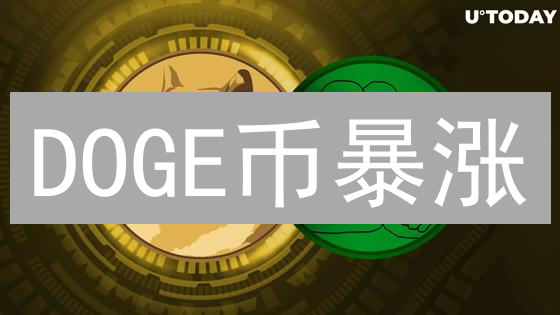 DOGE币暴涨？小白也能学会的技术分析，教你抓住机会！