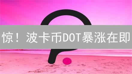 惊！波卡币DOT暴涨在即？新手购买指南全攻略！