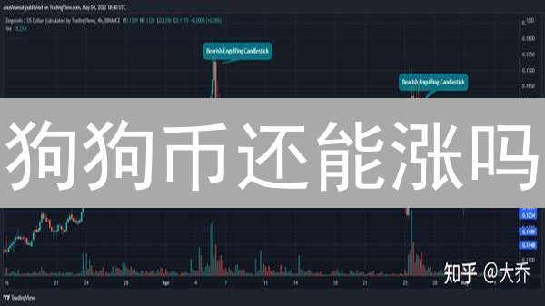狗狗币还能涨吗？深度解析 Doge 长期投资价值！