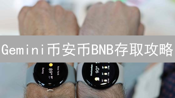 Gemini币安币BNB存取攻略：一文搞定，告别迷茫！