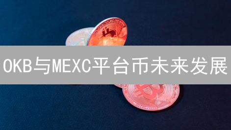 OKB与MEXC平台币未来发展：潜力、机遇及挑战分析