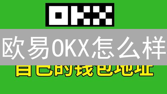 欧易OKX怎么样？新手必看！交易手续费、安全性对比评测