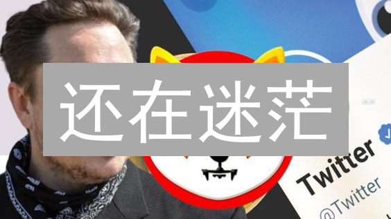 还在迷茫？选对SHIB交易对，让你的柴犬币起飞！