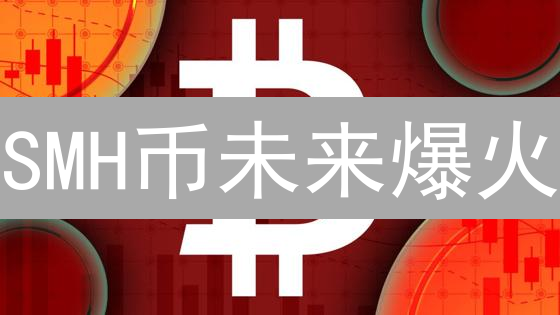 SMH币未来爆火？深度剖析潜力与挑战！