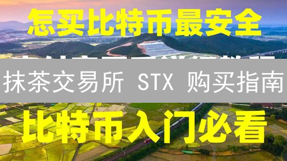 抹茶交易所 STX 购买指南：新手快速入门，稳赚不赔？