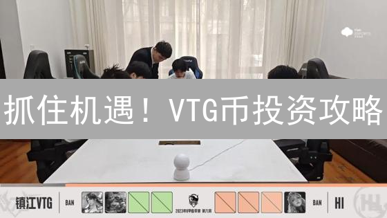 抓住机遇！VTG币投资攻略：平台选择、策略与未来展望