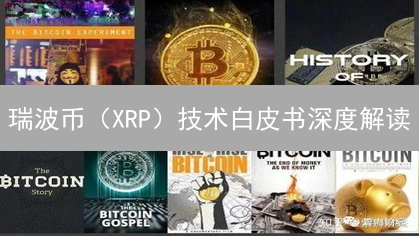 瑞波币（XRP）技术白皮书深度解读：未来金融的加速器？