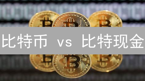 比特币 vs 比特现金：市值对比与未来趋势【深度分析】